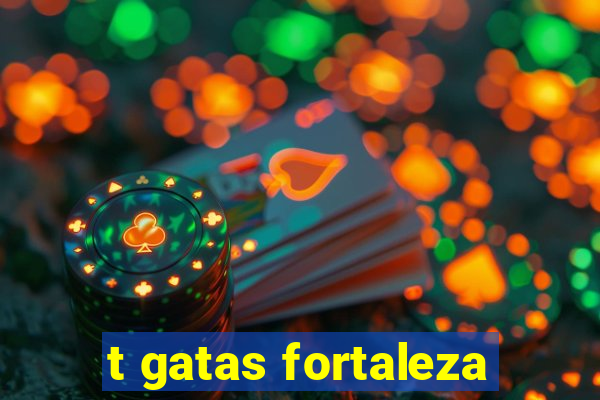 t gatas fortaleza